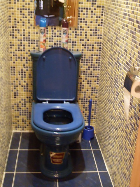 Ванны майкоп. Синий унитаз в интерьере. Туалет с синим унитазом. Голубой унитаз в интерьере туалета. Синий унитаз в интерьере в туалете.