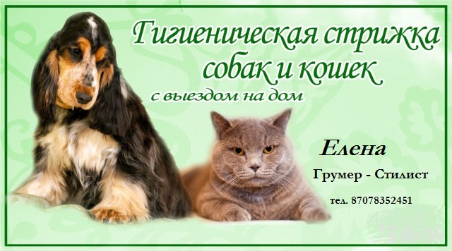 Реклама гигиенической стрижки животных. Стрижка собак и кошек выездом на дом