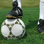 Искусственная трава, спортивные покрытия, коммерческий линолеум.