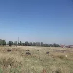 Пейнтбольный клуб САРБАЗ