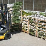 Аренда погрузчиков по часам – сутки и на  месяцы…