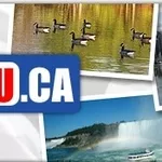Программа по привлечению иностранных специалистов в Канаду