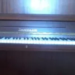 фотепиано zimmermann