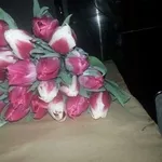  Десять красивых сортов Тюльпан к 8 марта!