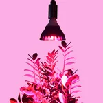Фитолампы LED для комнатных растений и рассады