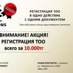 Регистрация ТОО всего за 10.000 тг