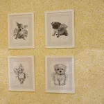 Жидкие обои Silk Plaster в Алматы!