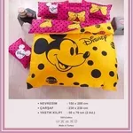 Disney,  Velvet Bkanket