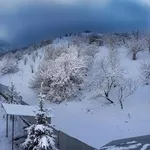 Зона семейного отдыха в Алматы