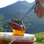 Продаем горный мед оптом в пригороде Алматы (Иссыке)