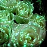 Флористическая краска (био-гель) для цветов светящаяся в темноте
