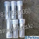 Распылитель форсунки Delphi 6801084