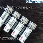 Распылитель форсунки 6801052 Perkins