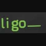 Водитель категории C+E в Польшу,  фирма Diligo Korycinski