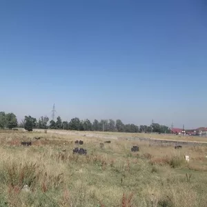 Пейнтбольный клуб САРБАЗ