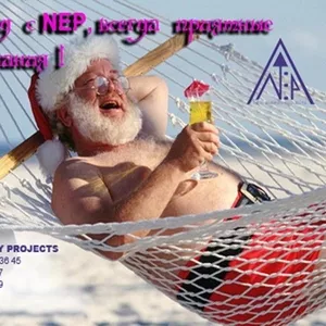 НОВОГОДНИЕ ПРОГРАММЫ,  ШОУ от NEP