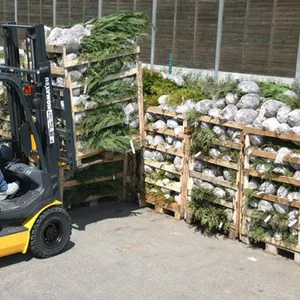 Аренда погрузчиков по часам – сутки и на  месяцы…