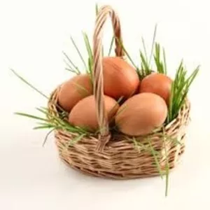  Яйца- экологический натуральные 