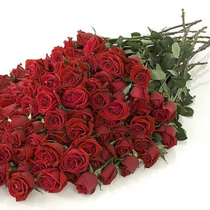 Продам розы оптом и в розницу,  одна роза 90 см = 400 тг.отличные розы.