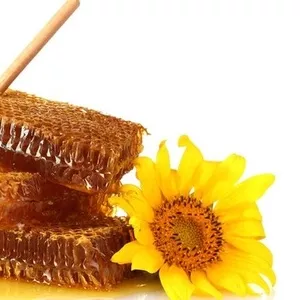 Мёд алтайский оптом по 650тнг . — 650 тнг.