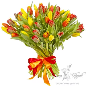 Тюльпаны‎ Галатские 40-50 см цена оптовый и розницы 180 тг