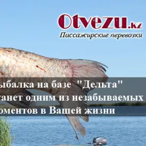 Услуги пассажирских перевозок по городу Алматы и не только