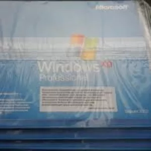 Windows XP Professional OEM    