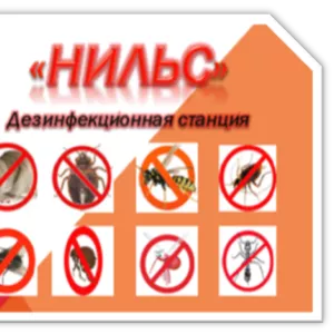 Уничтожение тараканов в Алматы и Алматинской области