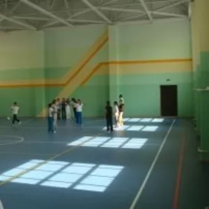 Строительство баскетбольных,  волейбольных площадок 