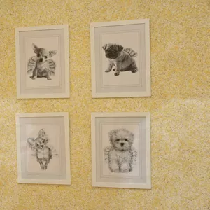 Жидкие обои Silk Plaster в Алматы!