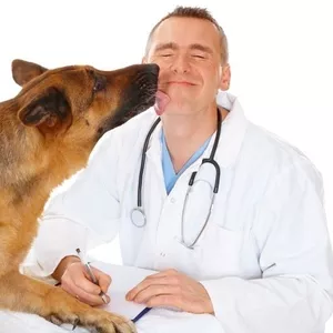 Ветеринарная клиника и аптека «ЛЮКС»