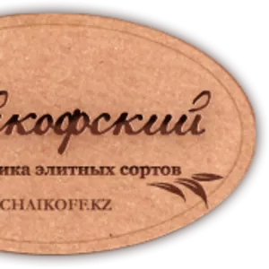 Корпоративные подарки в Алматы от магазина Чайкофский!