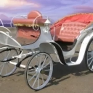 фаэтоны,  кони