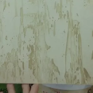 Акция! Леонардо 800 тнг.