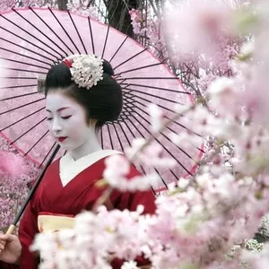 Групповой тур в Японию - цветение сакуры на 7 дней