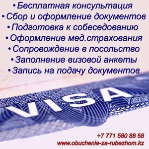 Поможем оформить визу в Чехию и США