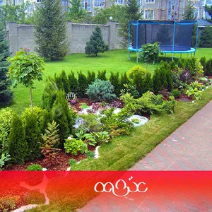 Ландшафтный дизайн и озеленение в Алматы