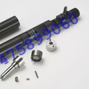 Распылитель форсунки Delphi (Делфи)