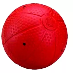 Мяч для слепых FS 584