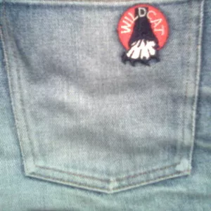 Продам джинсы Винтаж Wild Cat 1982 года бу 28 размер