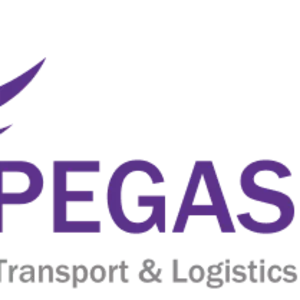 Доставка грузов из Китая,  России,  Европы и Турции от PEGAS LOGISTICS