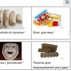 Оборудование для изготовления лотков для яиц