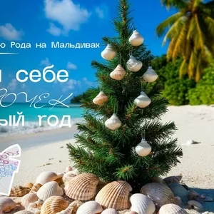 Новый2026 год Огненной Лошади  – ТВОЯ НОВАЯ ЖИЗНЬ! 