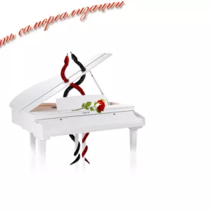 Авторские тренинги Шпак Евгении