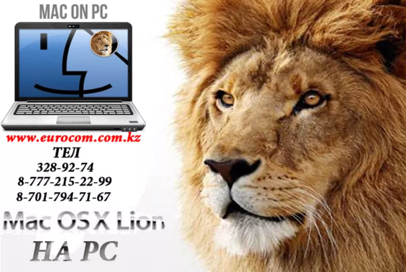 Установка Mac OS X LION в Алматы,  LION в Алматы в Алматы,  программы для Mac в Алматы,  программы + macbook + Алматы 3