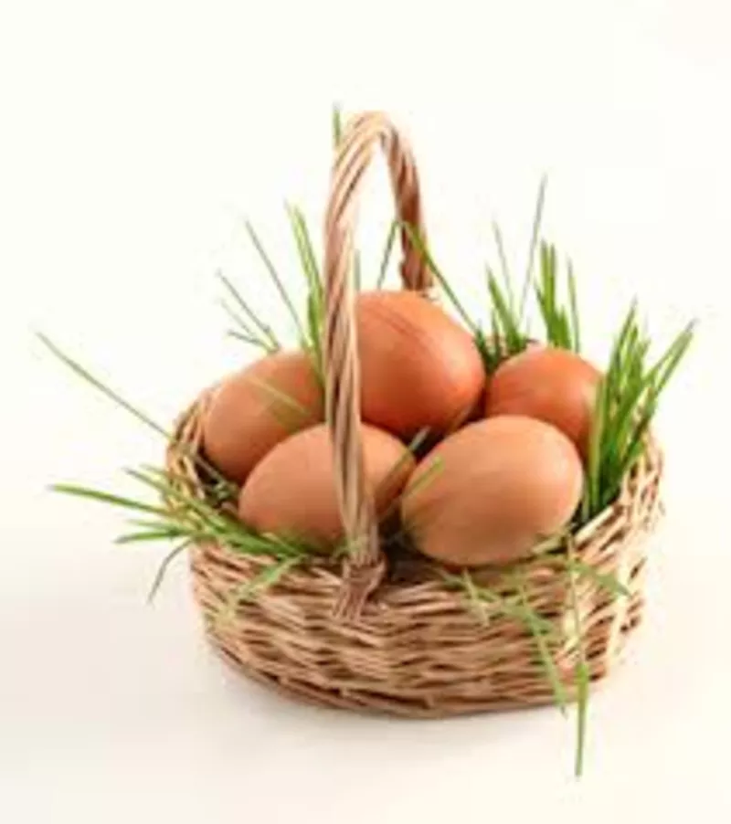 Яйца- экологический натуральные 