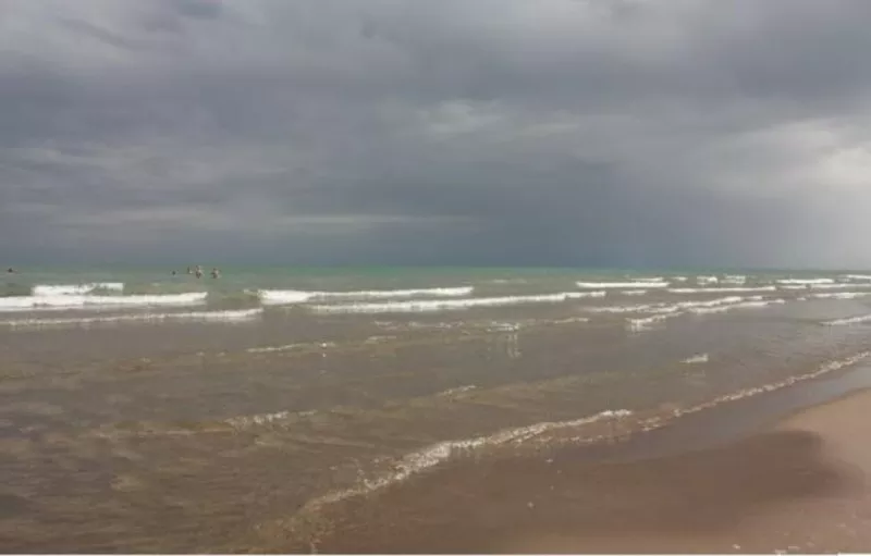 Крестьянское хозяйство (фазенда) на Капчагайском водохранилище. 4