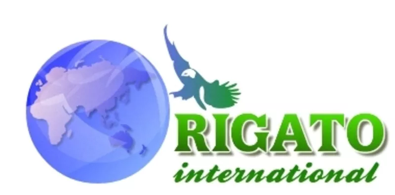 RiGaTo International. ГРУЗОПЕРЕВОЗКИ