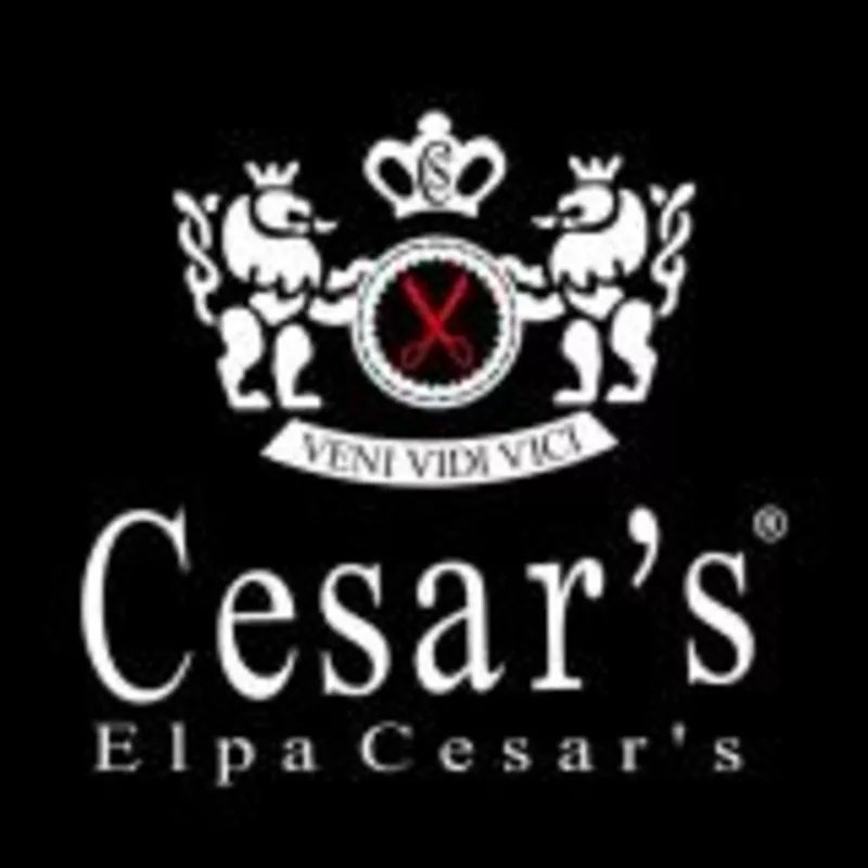 Продам костюм Elpa Cesar`s 3