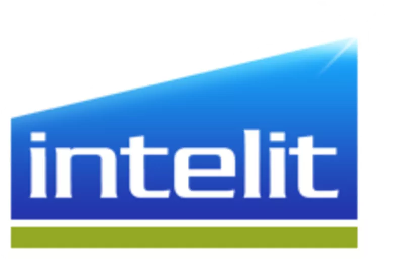 Предоставление IT услуг компания «INTELIT»